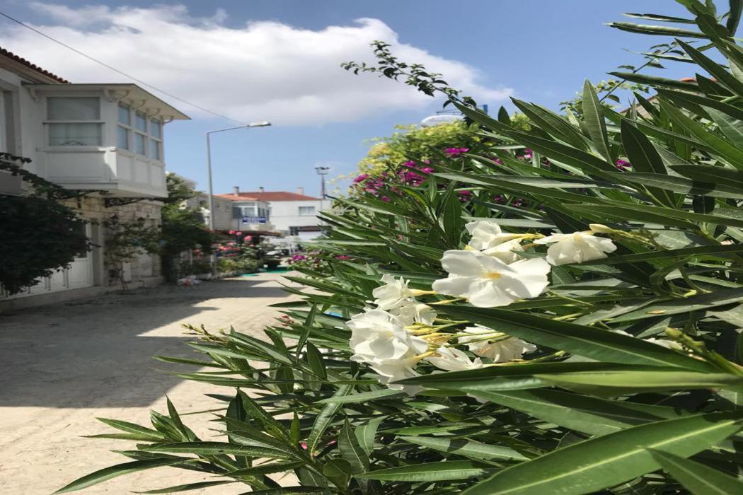 Beyaz Ev Hotel Αλακάτι Εξωτερικό φωτογραφία